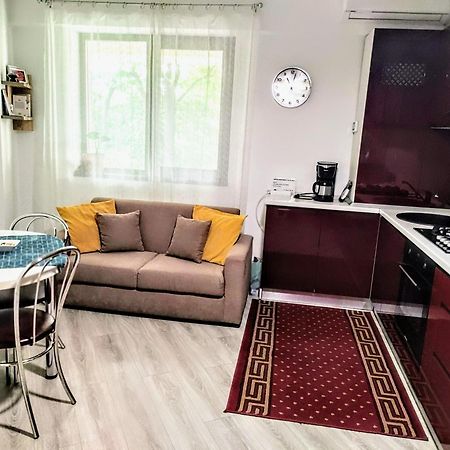 Simona Apartament Palas Mall 1 Iasi Exterior photo